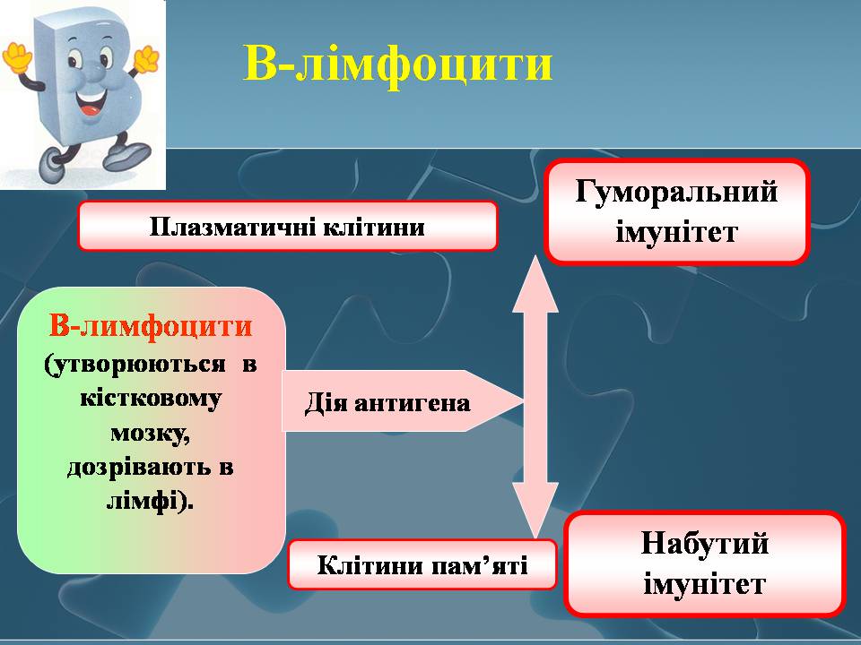 Презентація на тему «Імунітет» (варіант 4) - Слайд #23