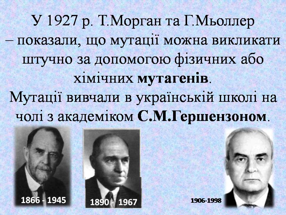 Презентація на тему «Типи мутацій. Мутагени» - Слайд #29