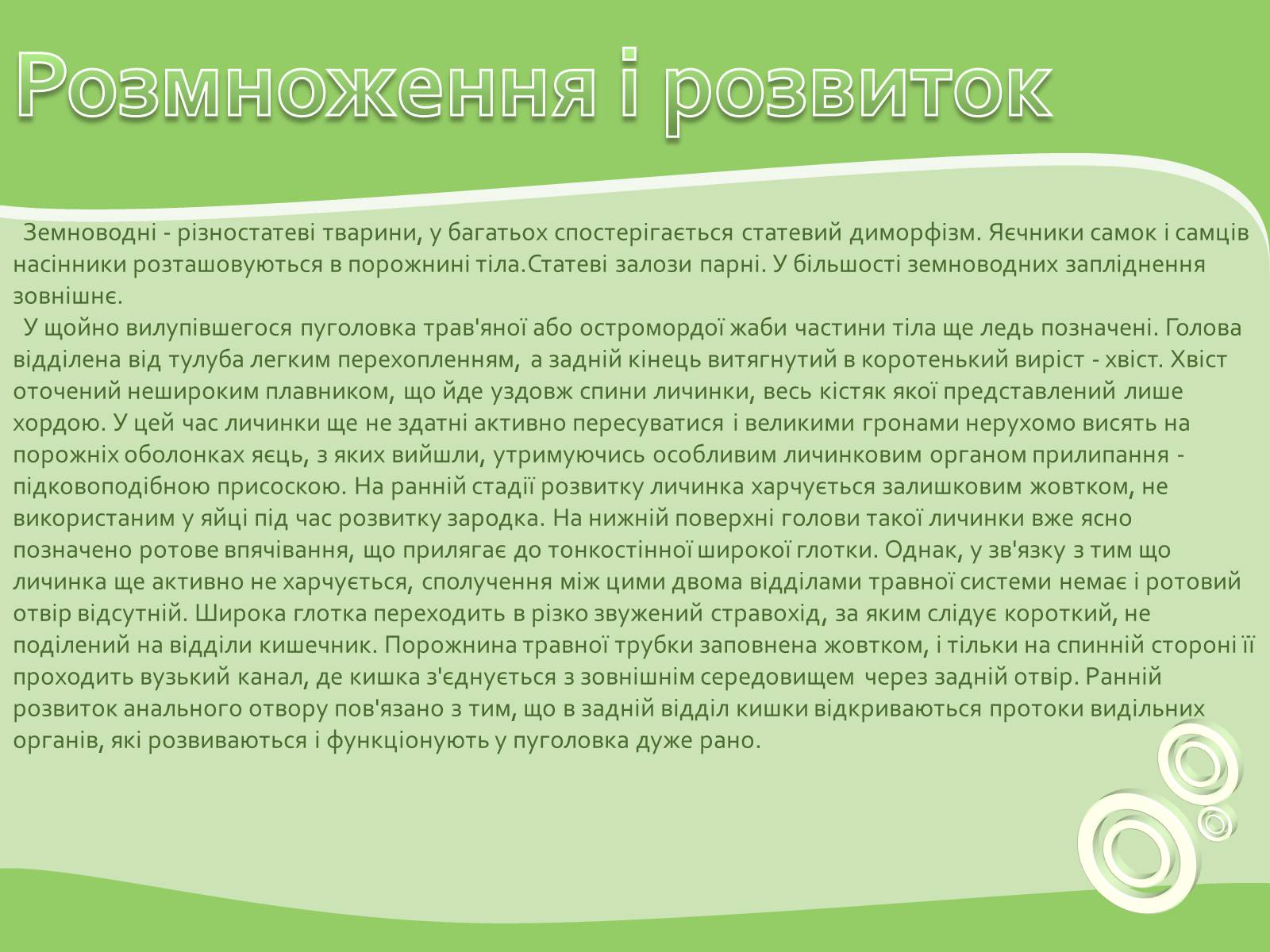 Презентація на тему «Земноводні або Амфібії» - Слайд #14