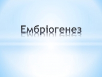 Презентація на тему «Ембріогенез»