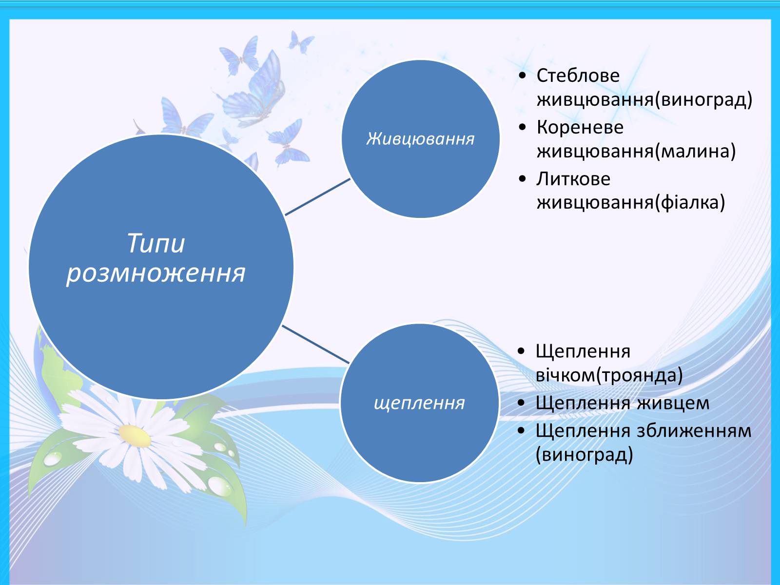 Презентація на тему «Способи розмноження рослин» - Слайд #7