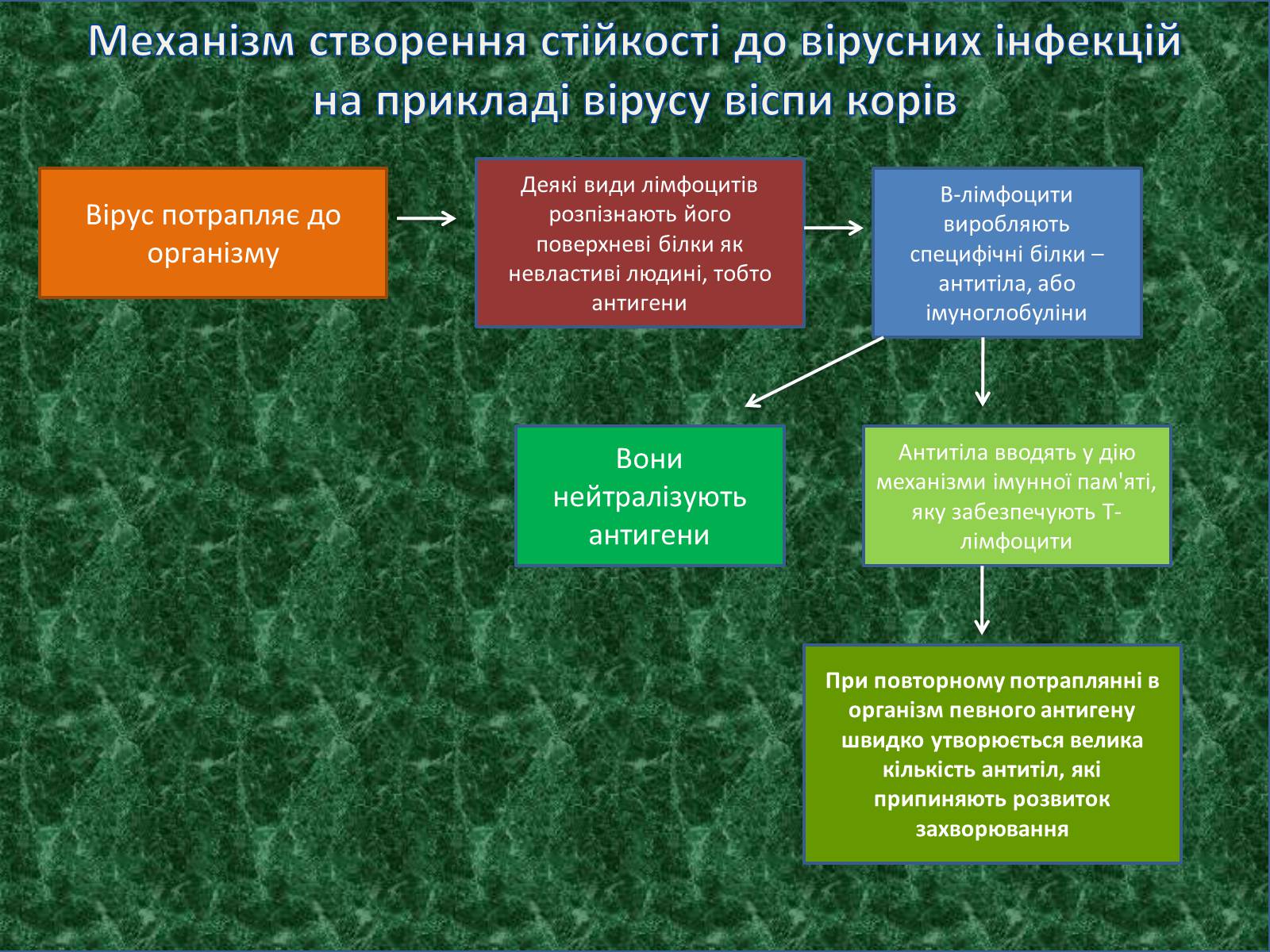 Презентація на тему «Профілактика та лікування вірусних інфекцій» - Слайд #7