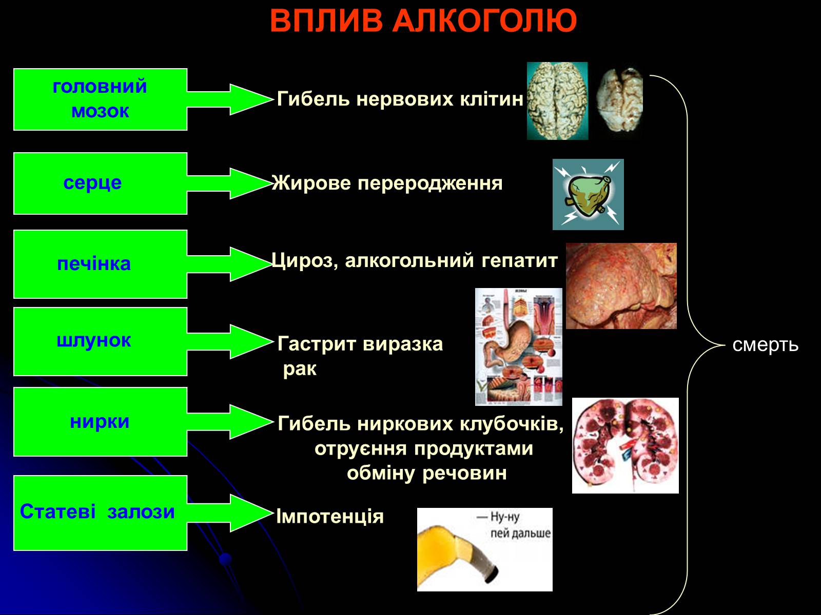 Презентація на тему «Алкоголь і алкоголізм» - Слайд #13