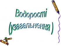 Презентація на тему «Водорості» (варіант 1)