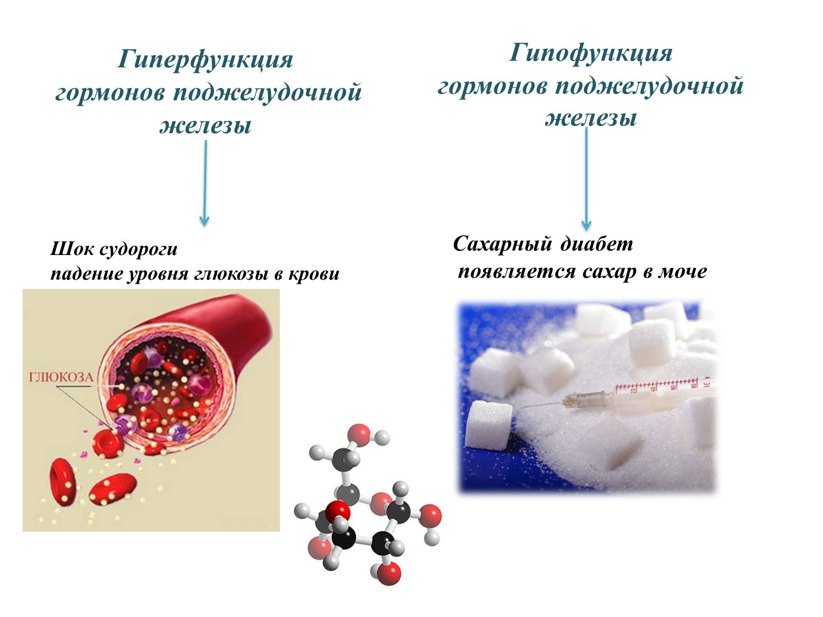 Гиперфункция глюкагона. Кровь на гормоны. Поджелудочная железа гормоны гиперфункция и гипофункция. Поджелудочная железа гипофункция и гиперфункция. Презентация на тему гормоны.