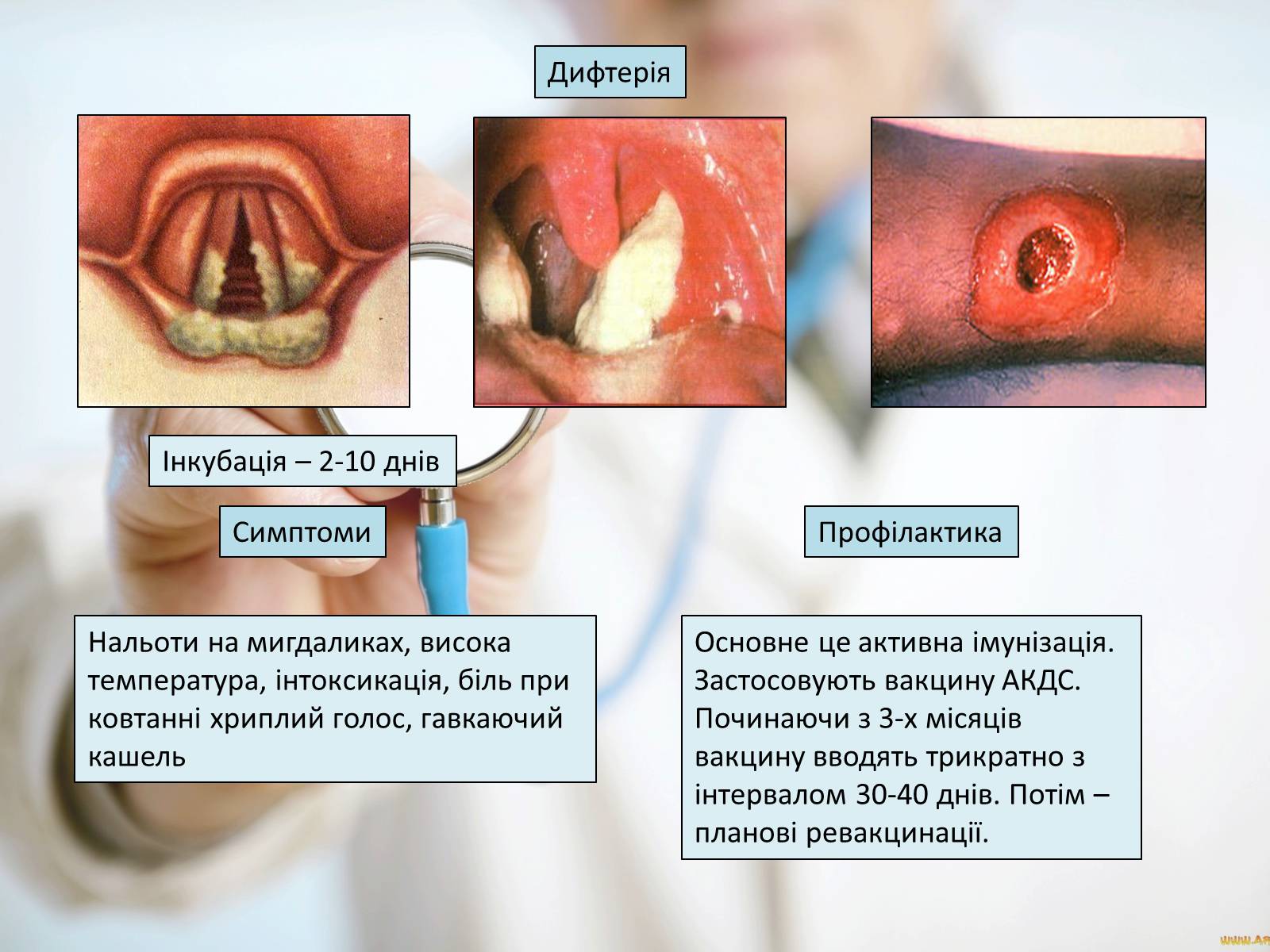 Презентація на тему «Профілактика інфекційних захворювань» (варіант 6) - Слайд #7