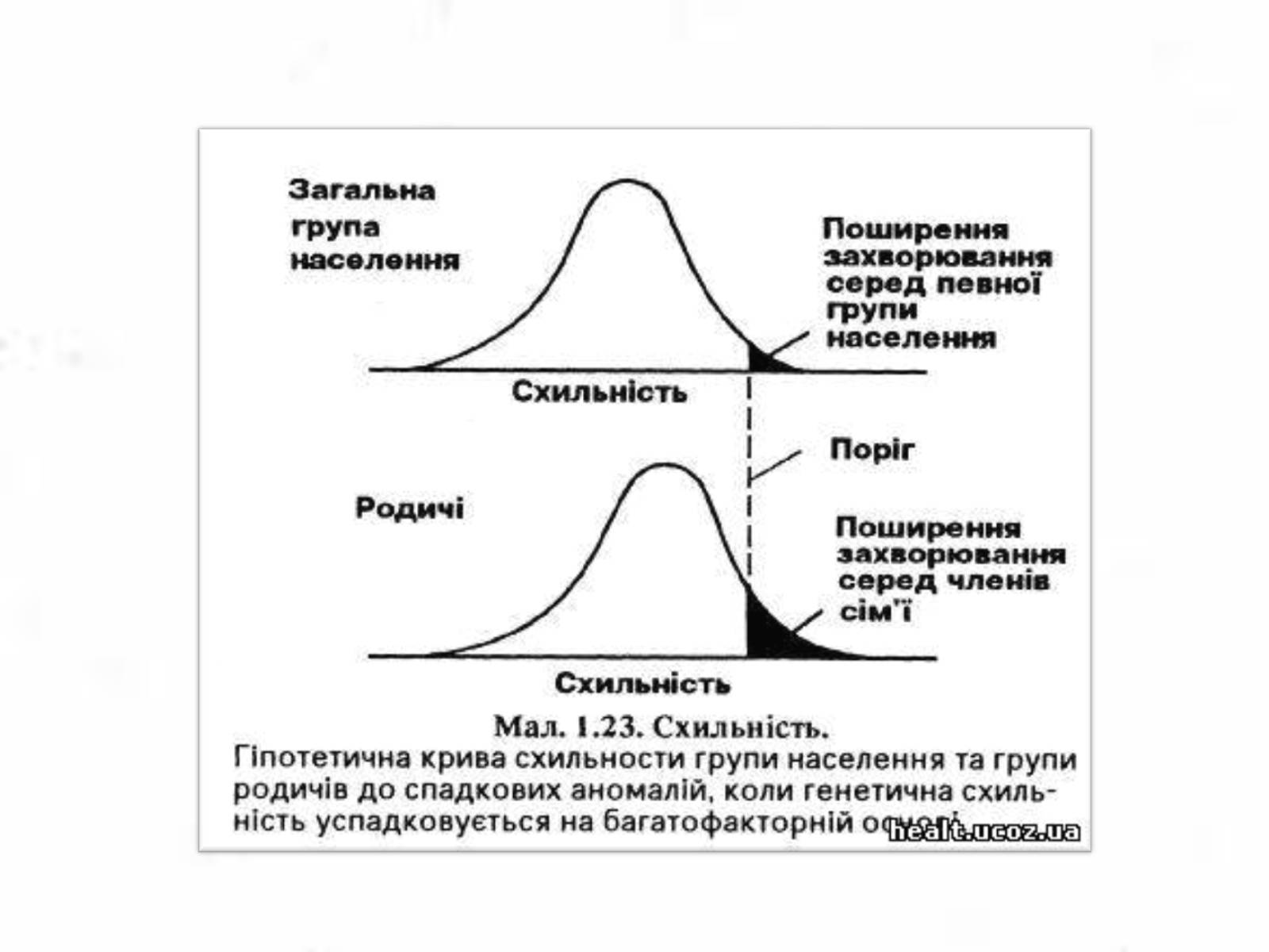 Презентація на тему «Хромосомна теорія спадковості» (варіант 3) - Слайд #6