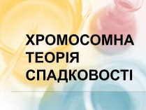 Презентація на тему «Хромосомна теорія спадковості» (варіант 3)