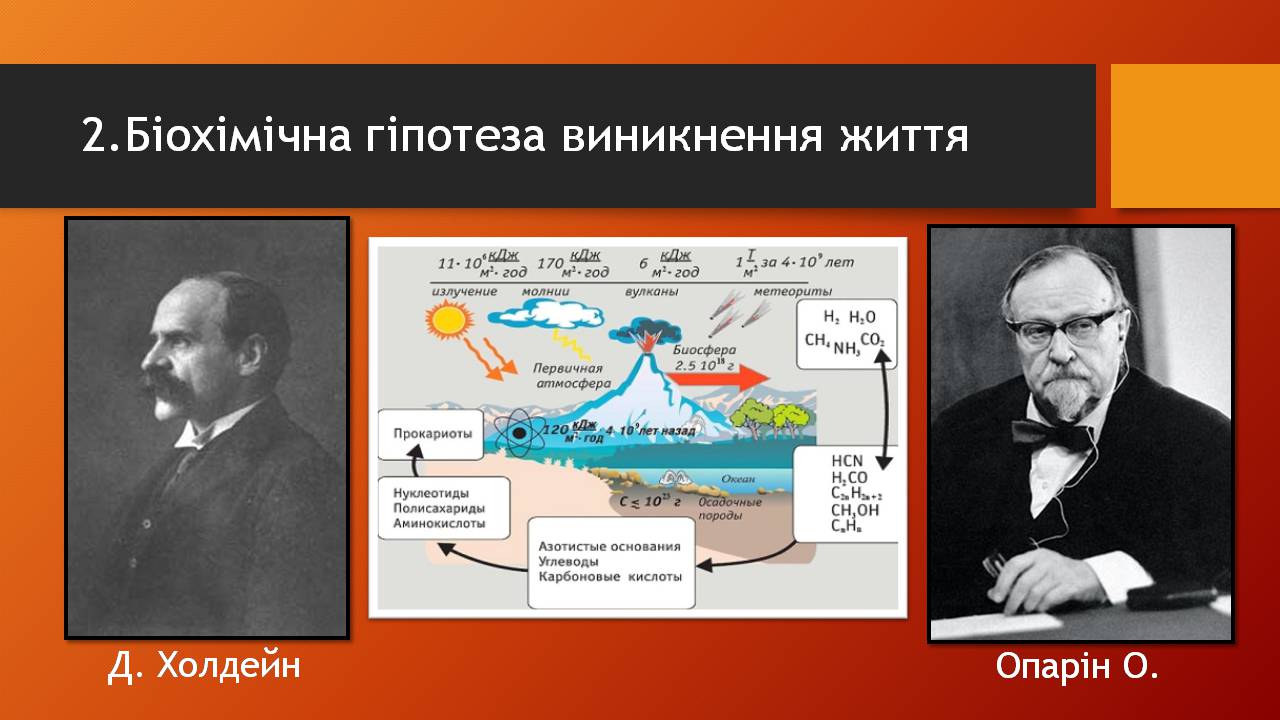 Презентація на тему «Історичний розвитокорганічного світу» - Слайд #13