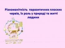 Презентація на тему «Різноманітність паразитичних плоских червів»