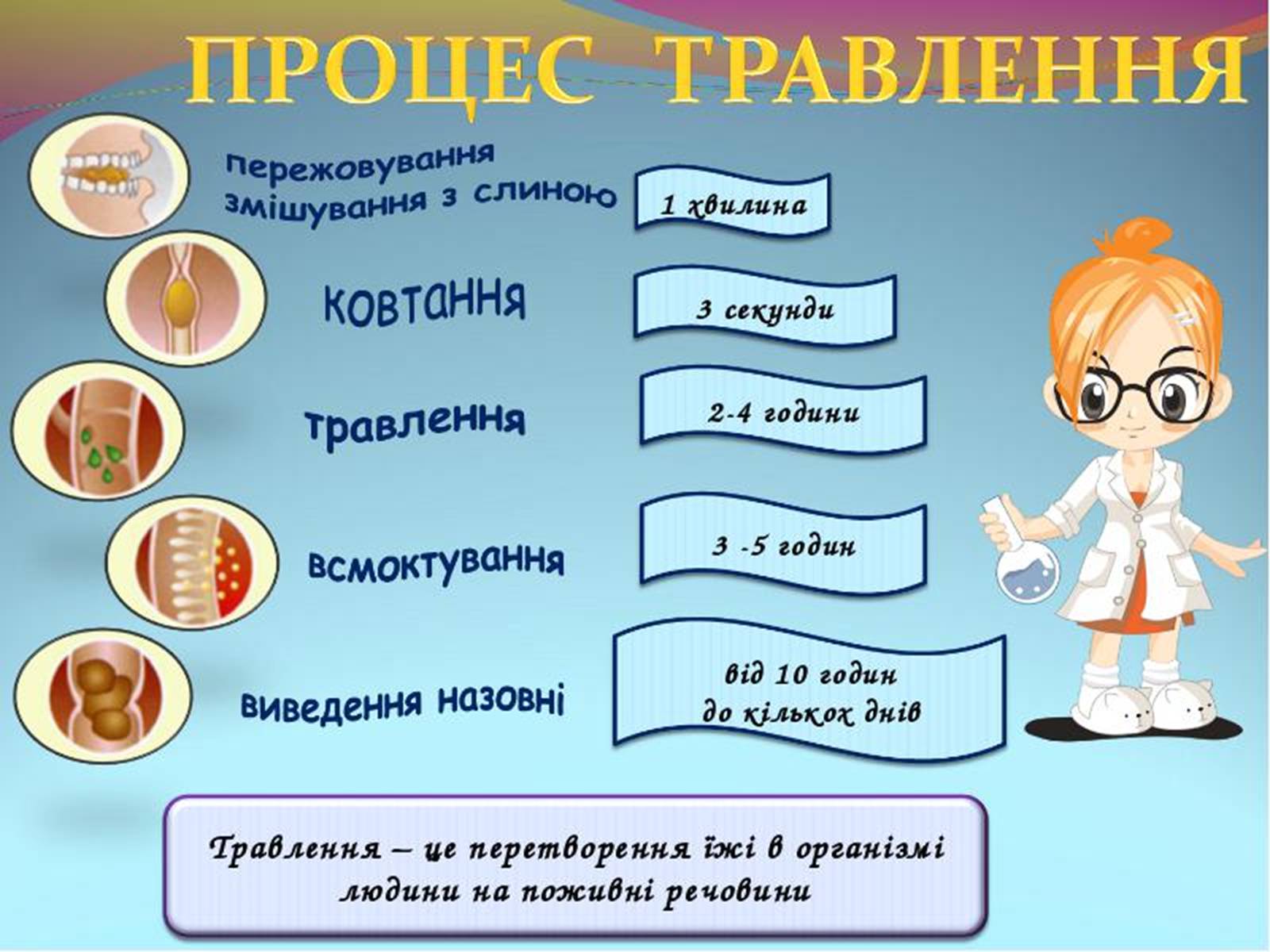 Презентація на тему «обмін речовин та енергії в організмі людини» - Слайд #3