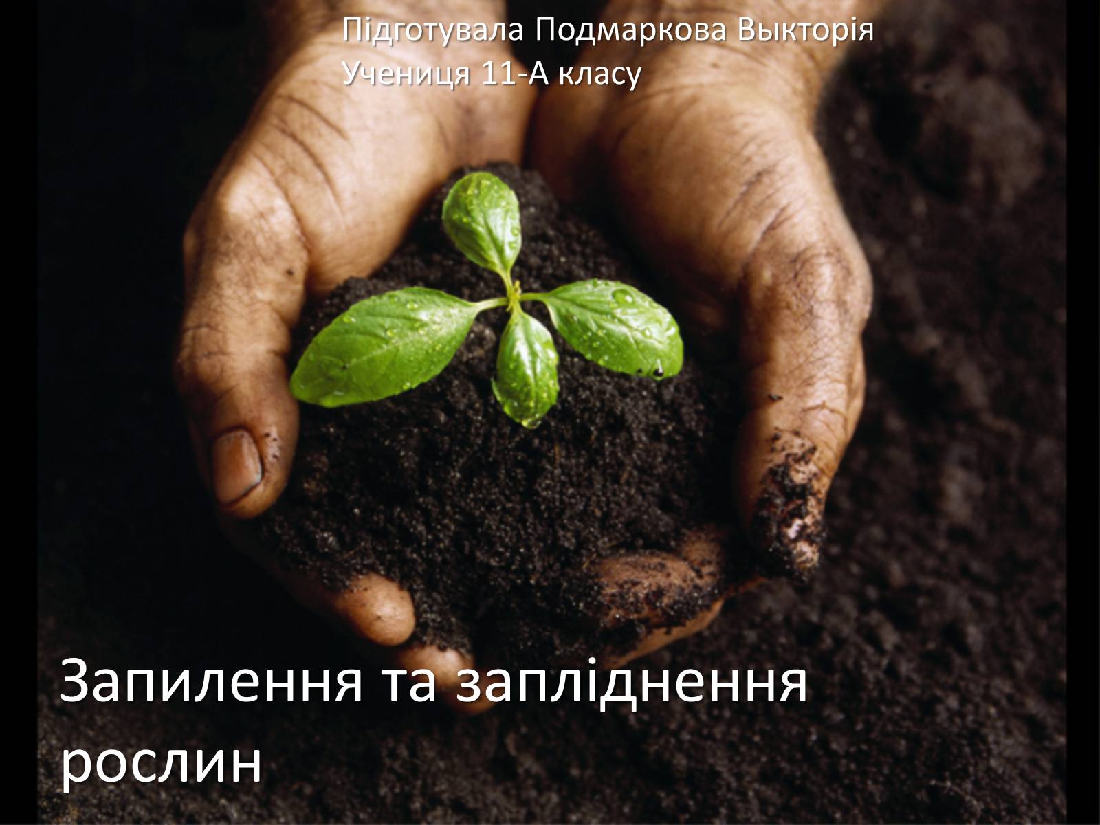 Презентація на тему «Запилення та запліднення рослин» (варіант 1) - Слайд #1