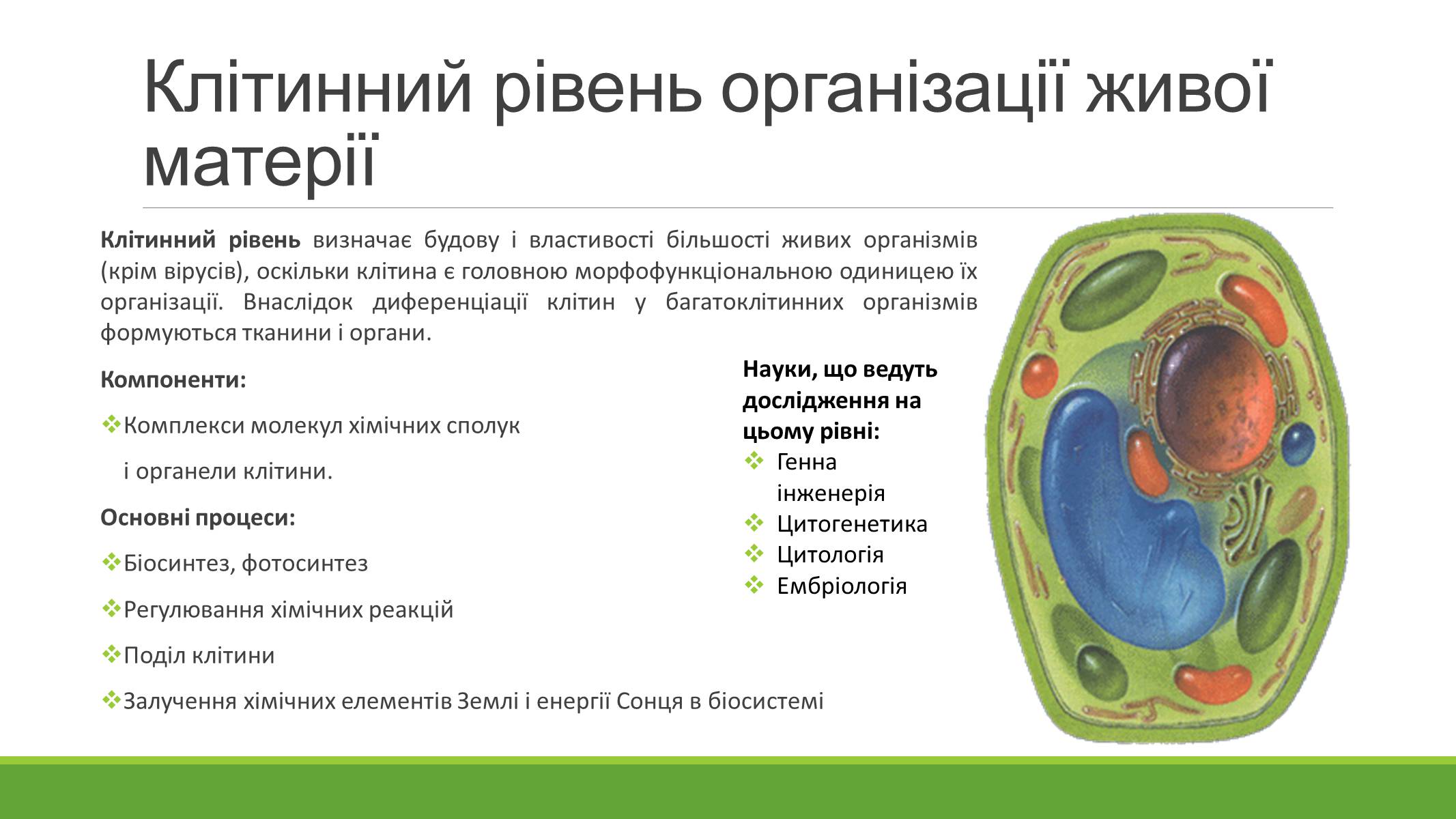 Презентація на тему «РІВНІ ОРГАНІЗАЦІЇ ЖИВОЇ МАТЕРІЇ» (варіант 2) - Слайд #5