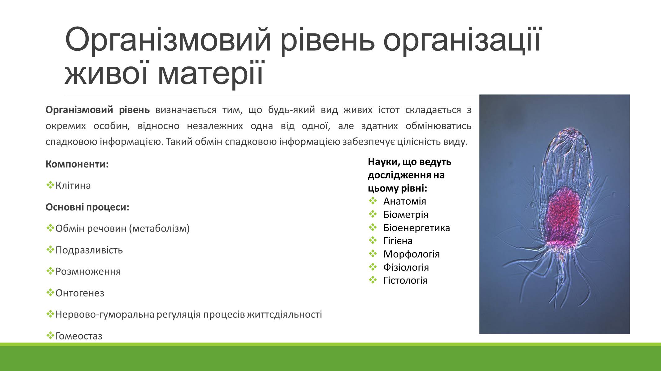 Презентація на тему «РІВНІ ОРГАНІЗАЦІЇ ЖИВОЇ МАТЕРІЇ» (варіант 2) - Слайд #6