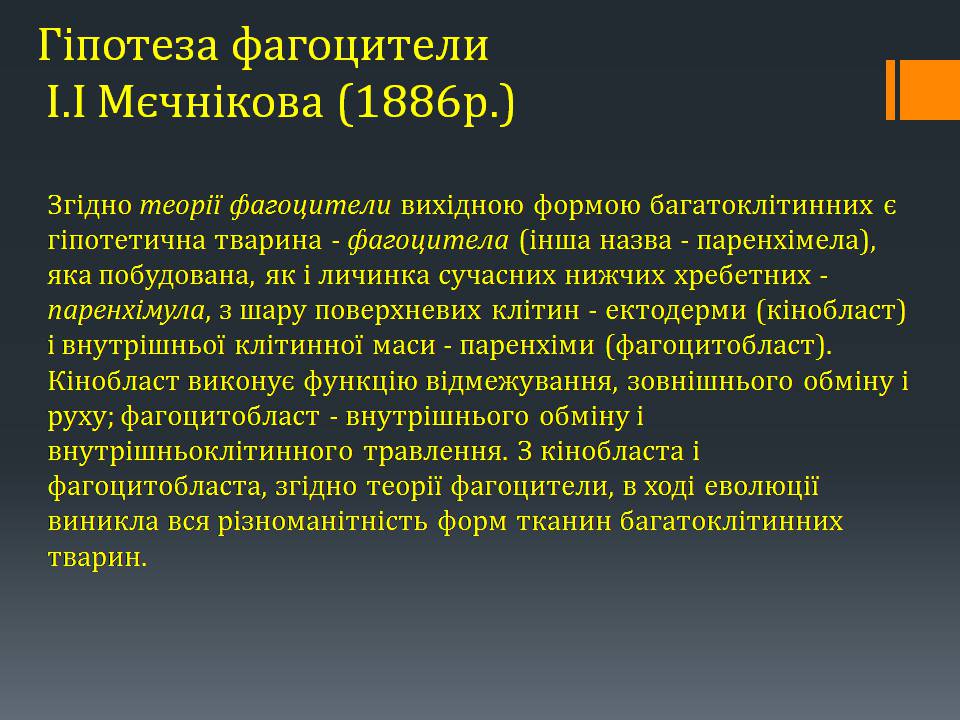 Презентація на тему «Гіпотези виникнення життя на землі» (варіант 3) - Слайд #15