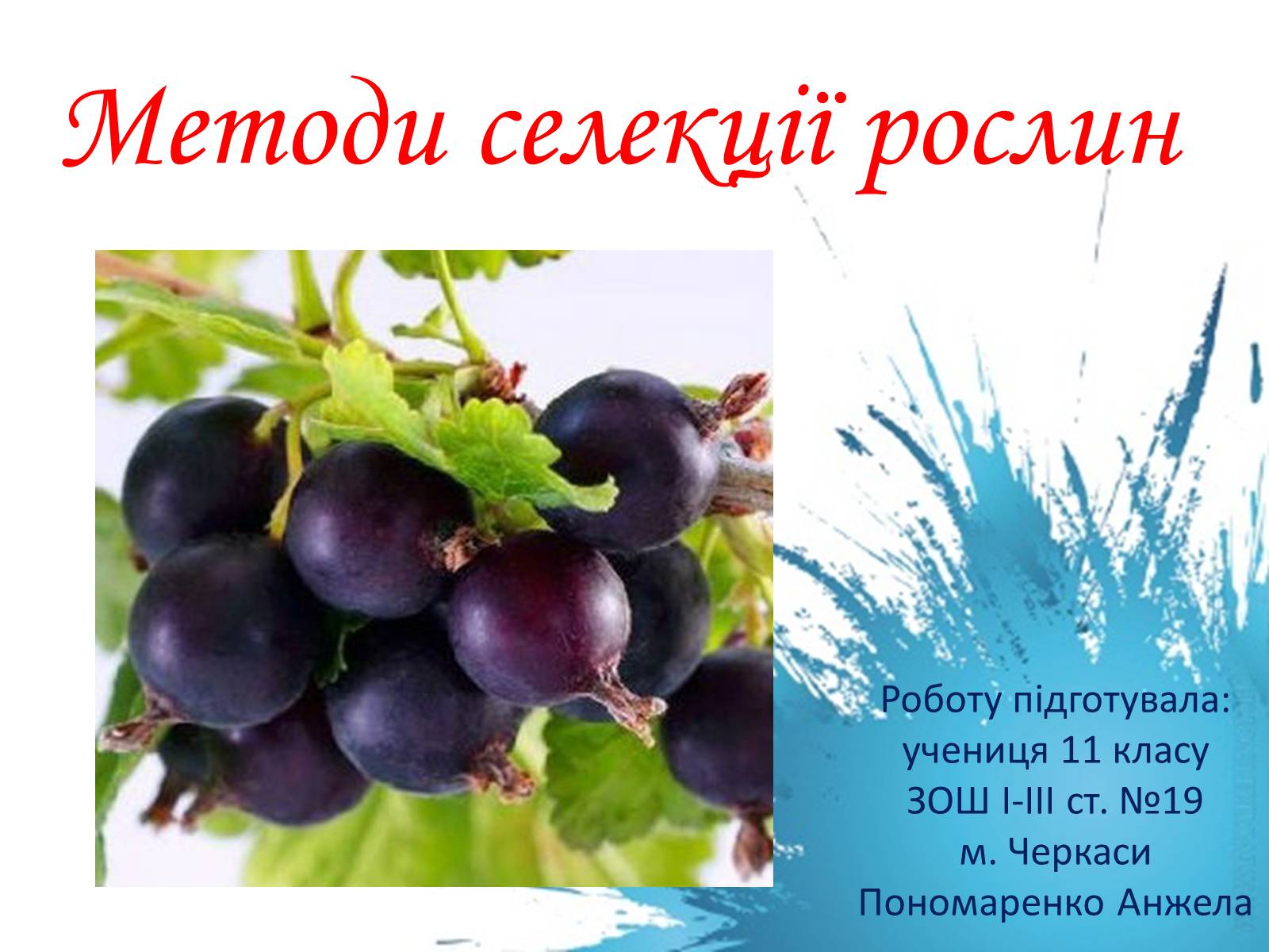 Презентація на тему «Методи селекції рослин» - Слайд #1