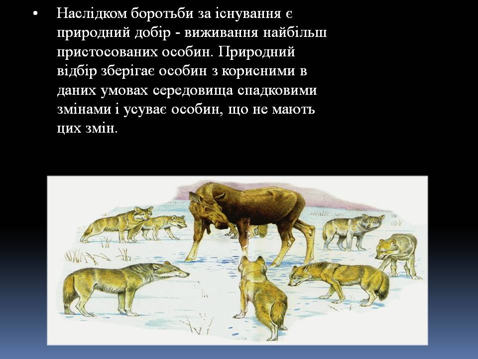 Презентація на тему «Еволюційне вчення Чарльза Дарвіна» - Слайд #6