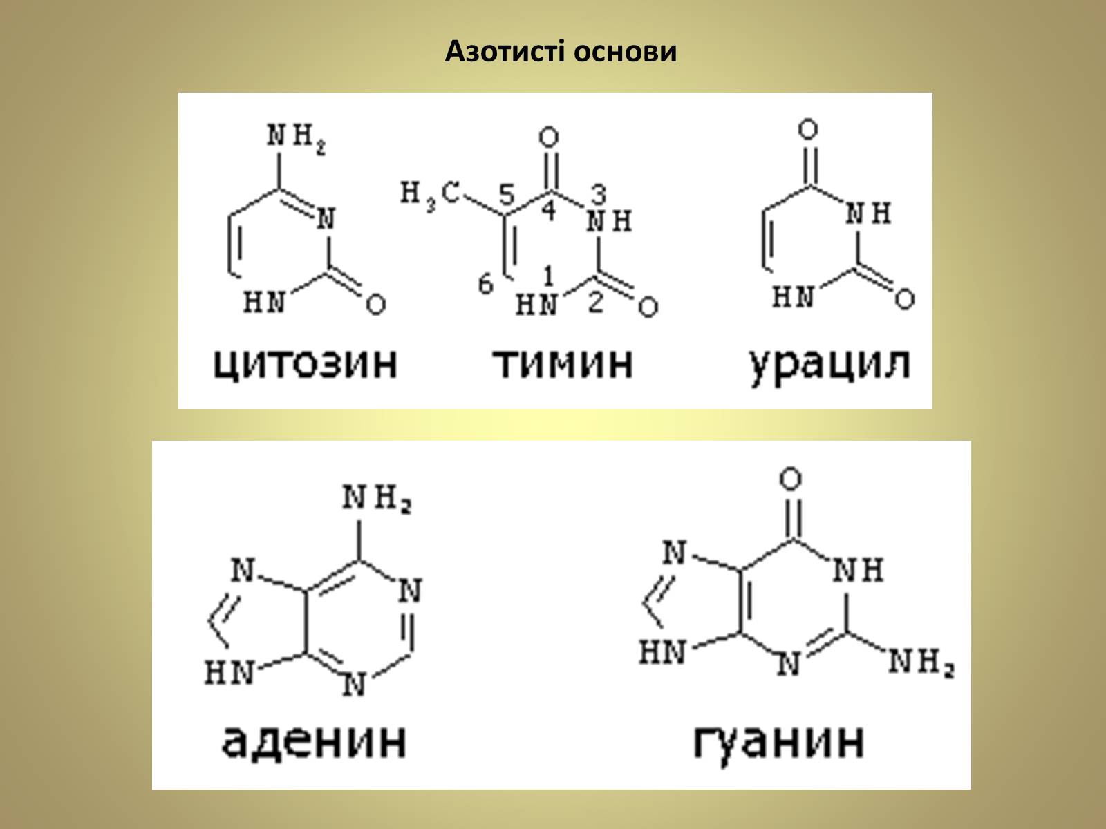 Цитозин молекула. Тимин урацил. Урацил Тимин цитозин. Тимин и урацил формулы. Урацил Тимин цитозин формулы.