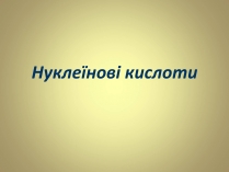 Презентація на тему «Нуклеїнові кислоти» (варіант 5)