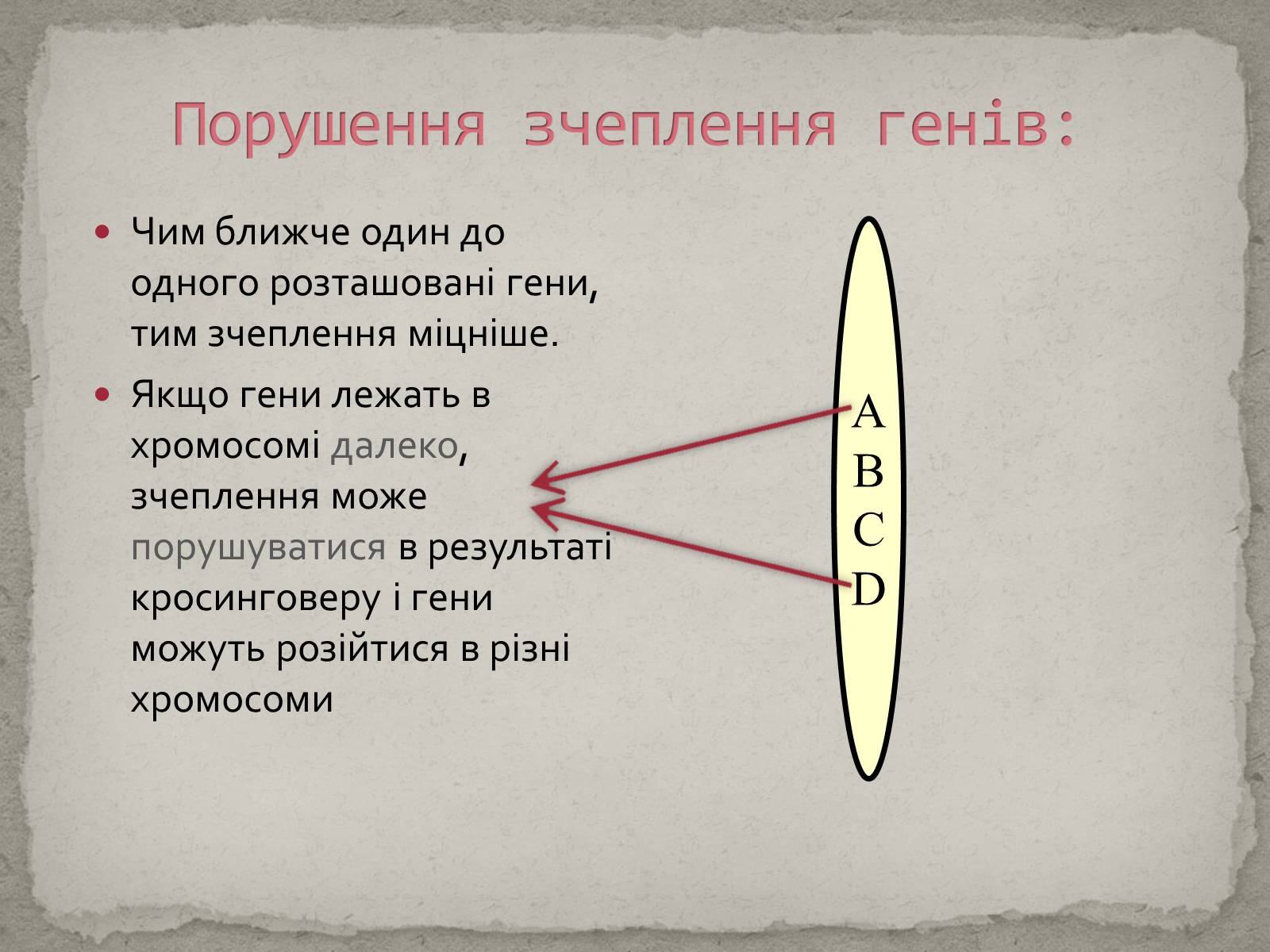 Презентація на тему «Хромосомна теорія спадковості» (варіант 1) - Слайд #12