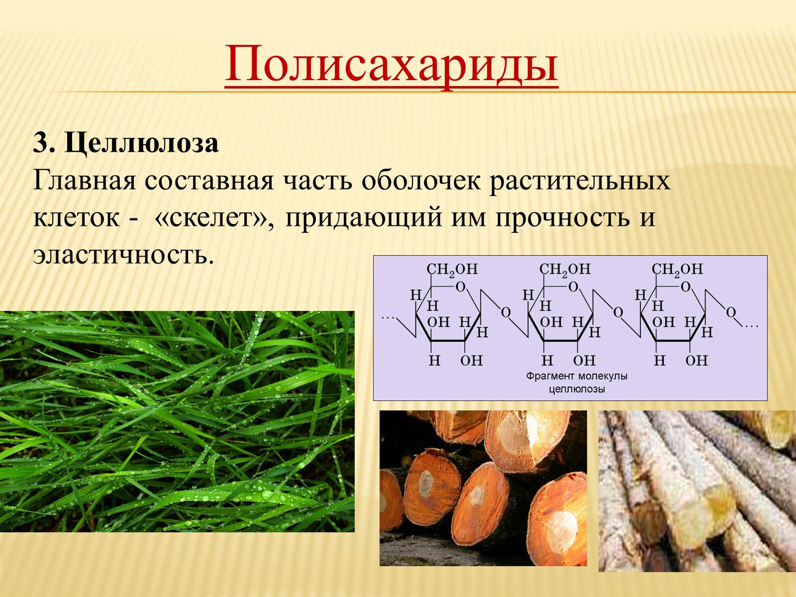 Целлюлоза это. Целлюлоза полисахарид. Полисахарид в растительной клетке: целлюлоз. Целлюлоза Главная составная часть. Полисахариды растительного происхождения.