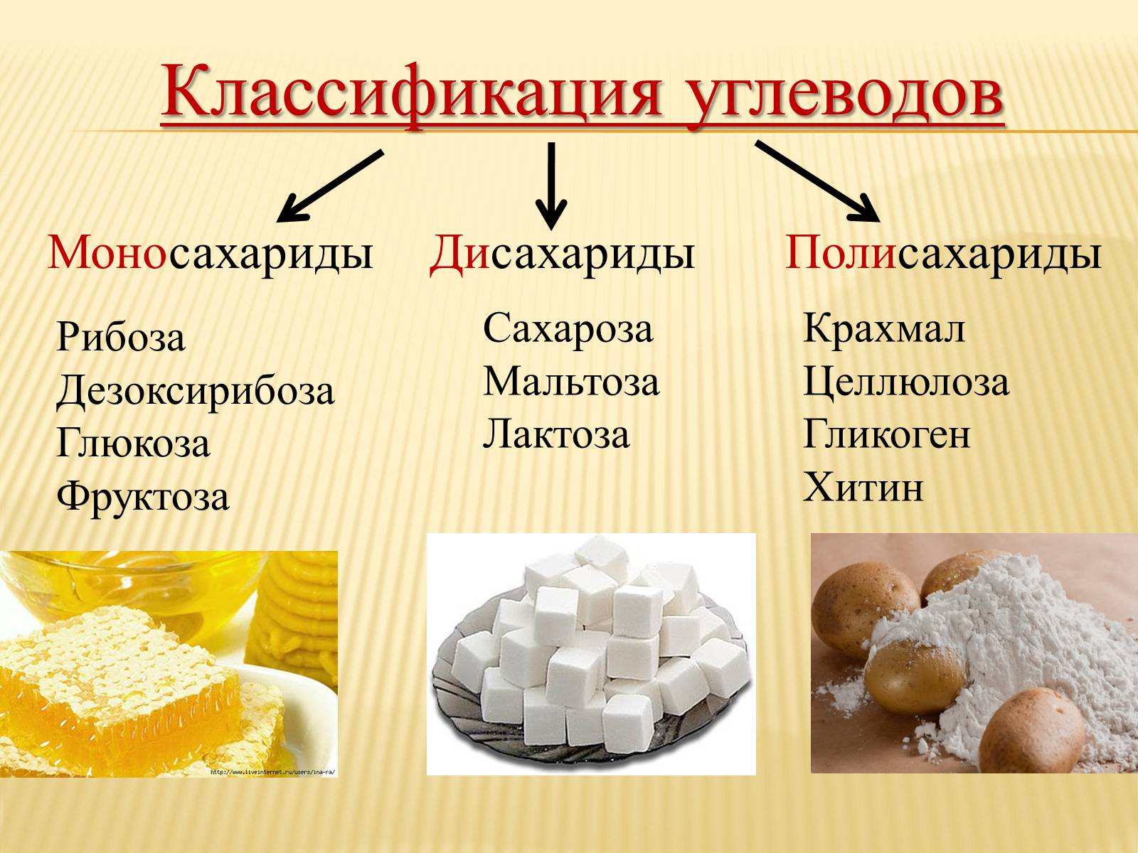 Презентація на тему «Органические вещества. Углеводы. Белки» - Слайд #4