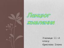 Презентація на тему «Ланцюг живлення» (варіант 1)