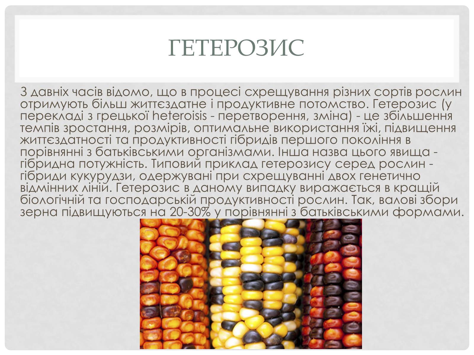 Презентація на тему «Вплив генотипу і факторів зовнішнього середовища на рослинні організми» - Слайд #4