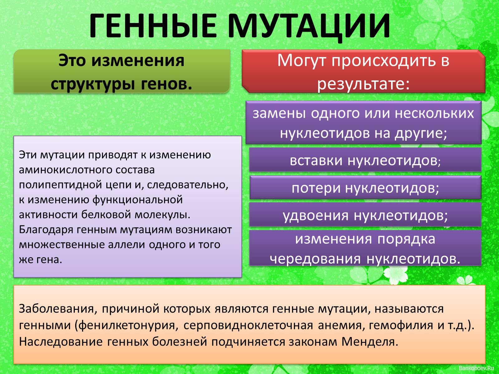 Презентація на тему «Мутационная изменчивость» - Слайд #11