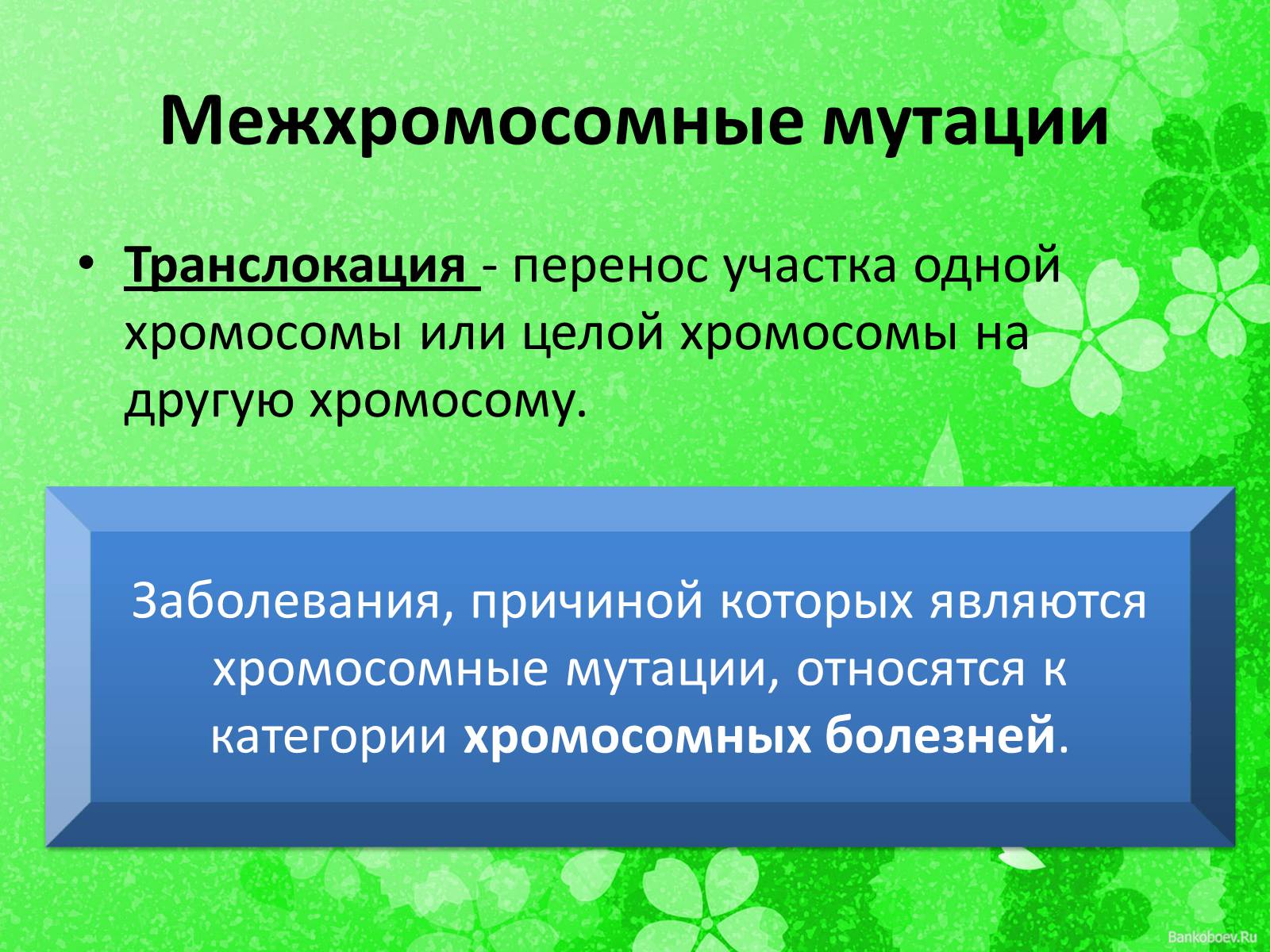 Презентація на тему «Мутационная изменчивость» - Слайд #15