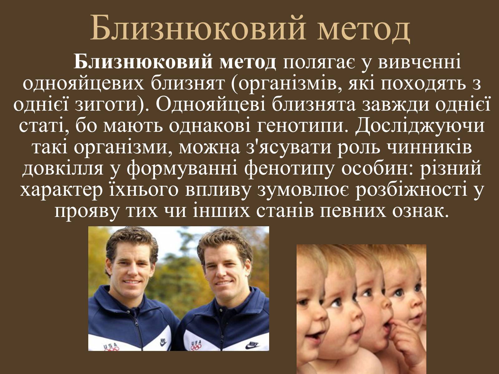 Презентація на тему «Методи генетичних досліджень» (варіант 1) - Слайд #13