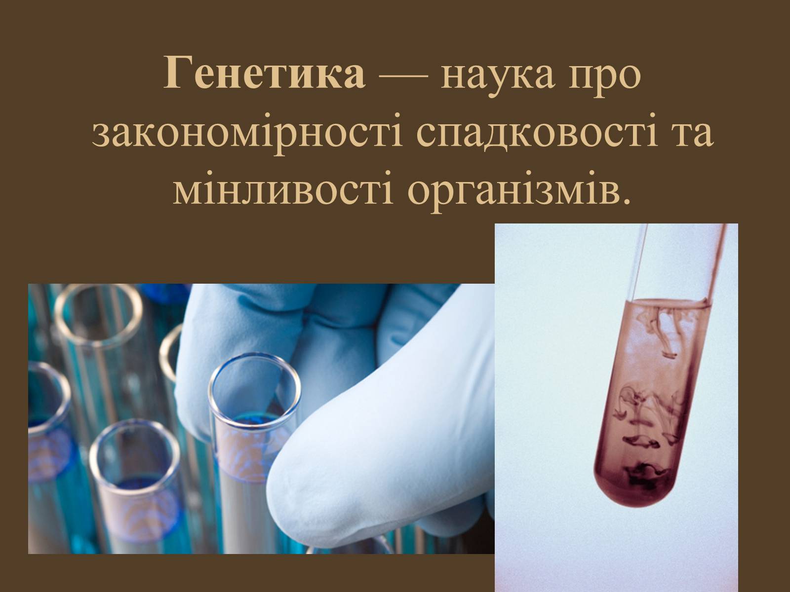 Презентація на тему «Методи генетичних досліджень» (варіант 1) - Слайд #2