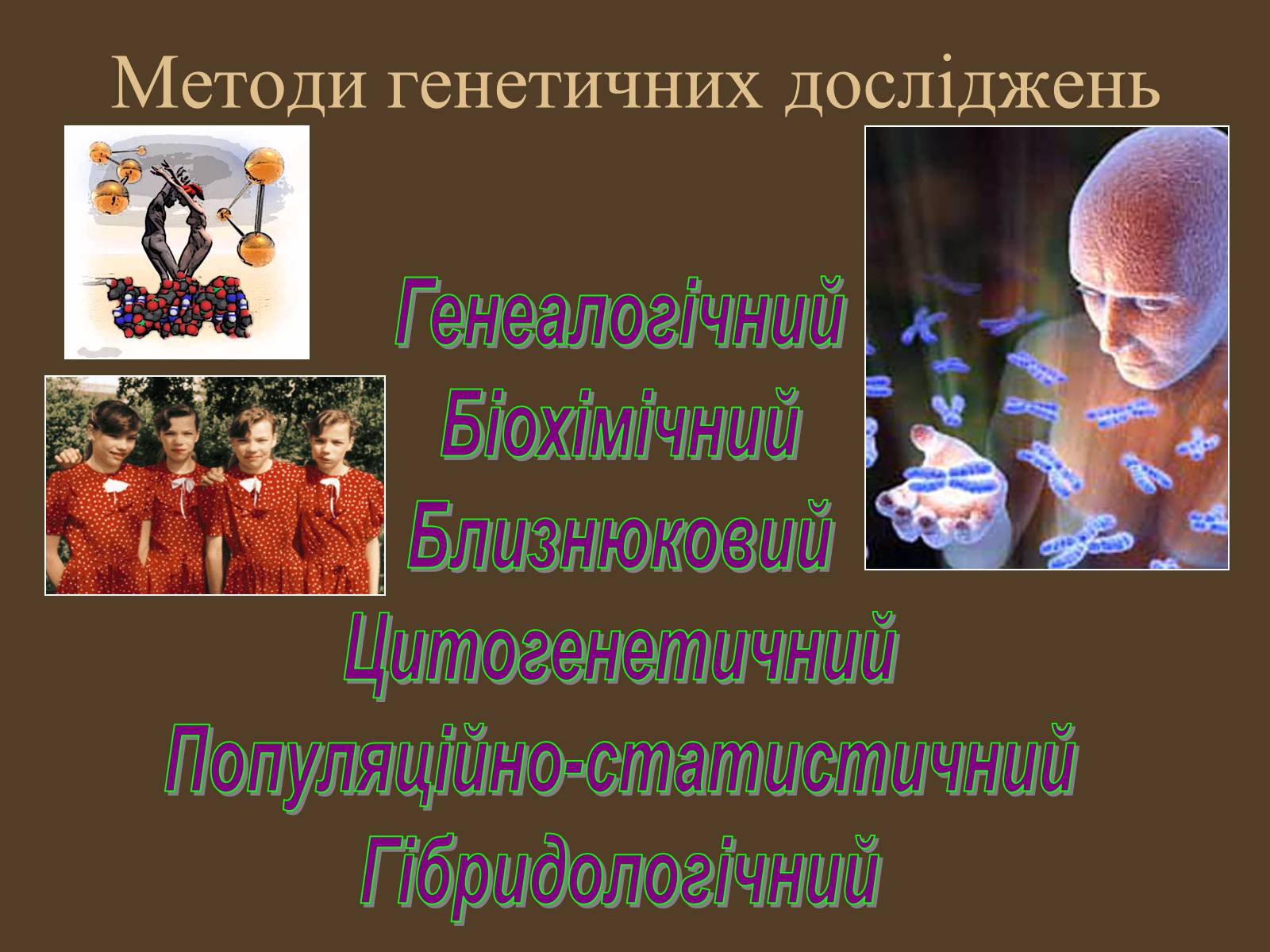 Презентація на тему «Методи генетичних досліджень» (варіант 1) - Слайд #6