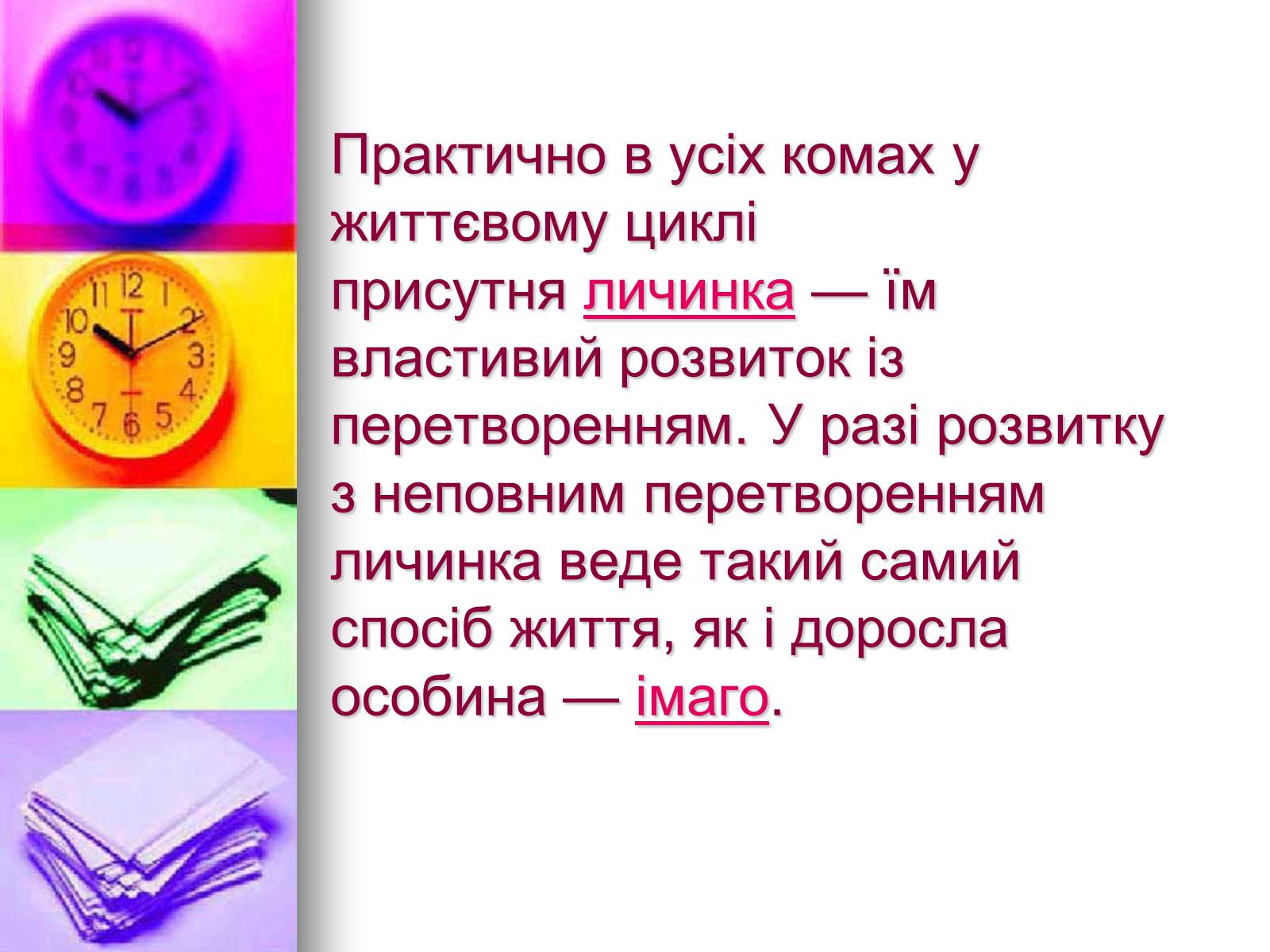 Презентація на тему «Клас Комахи. Загальна характеристика класу» - Слайд #22