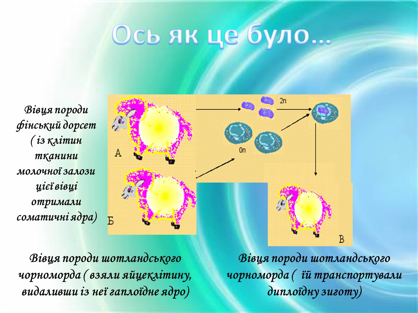 Презентація на тему «Клонування» (варіант 10) - Слайд #7