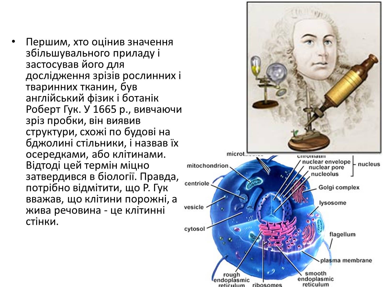 Презентація на тему «Історія вивчення клітини» - Слайд #3