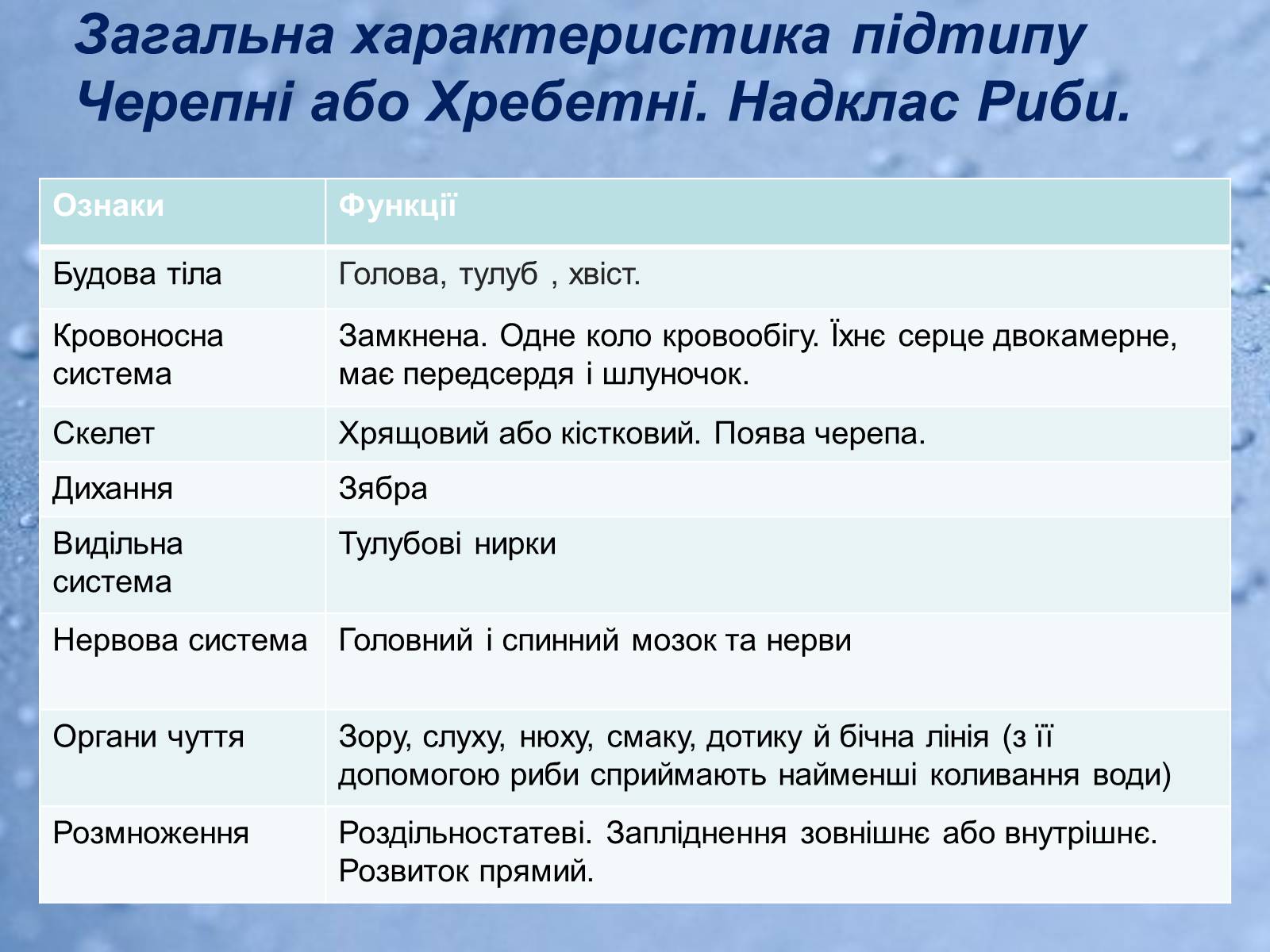 Презентація на тему «Хрящові риби» (варіант 2) - Слайд #4