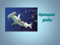 Презентація на тему «Хрящові риби» (варіант 2)