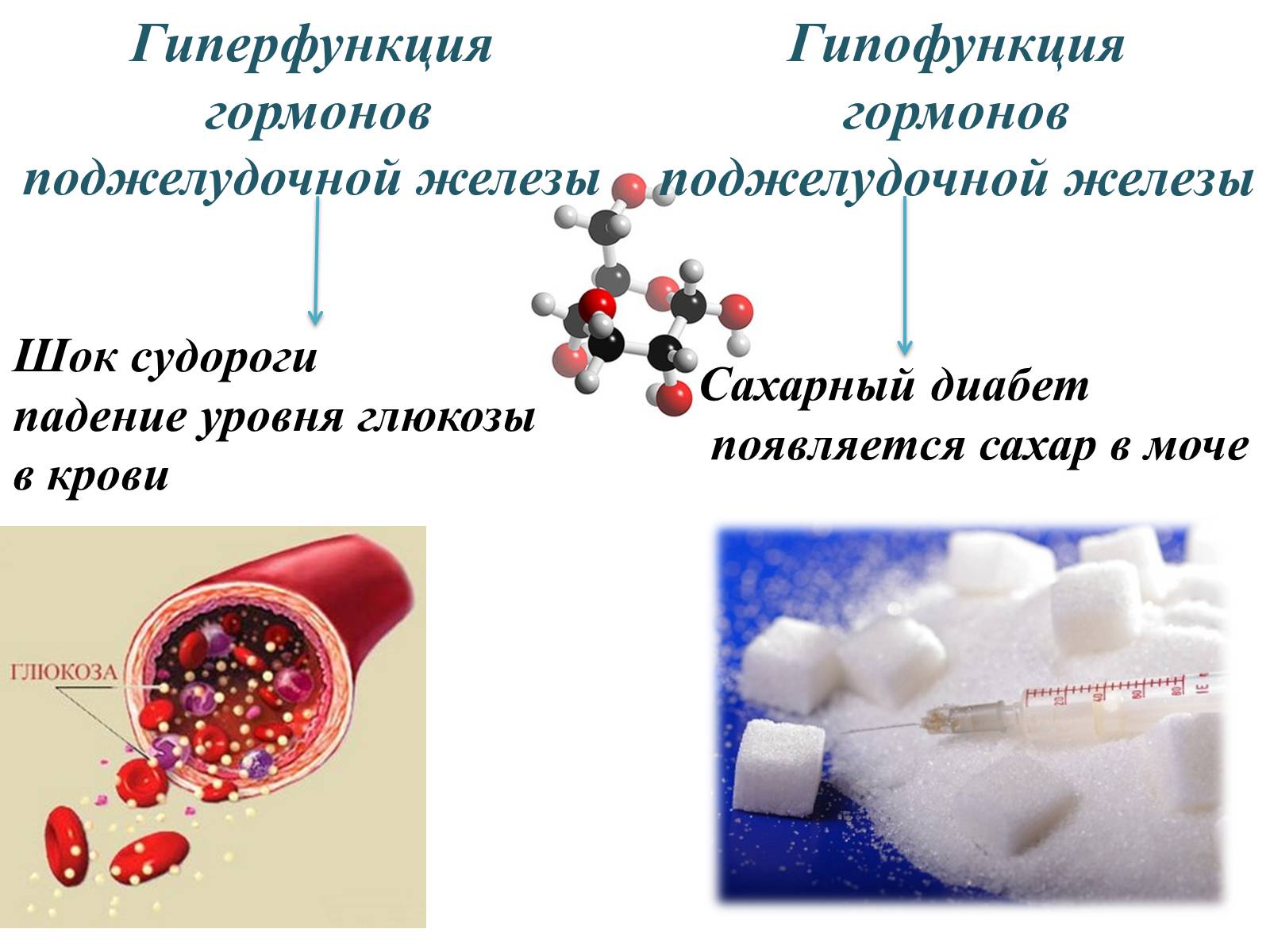 Гиперфункция глюкагона. Гипофункция поджелудочной железы заболевания. Гипофункция и гиперфункция гормонов. Поджелудочная железа гипофункция и гиперфункция. Инсулин гиперфункция и гипофункция.