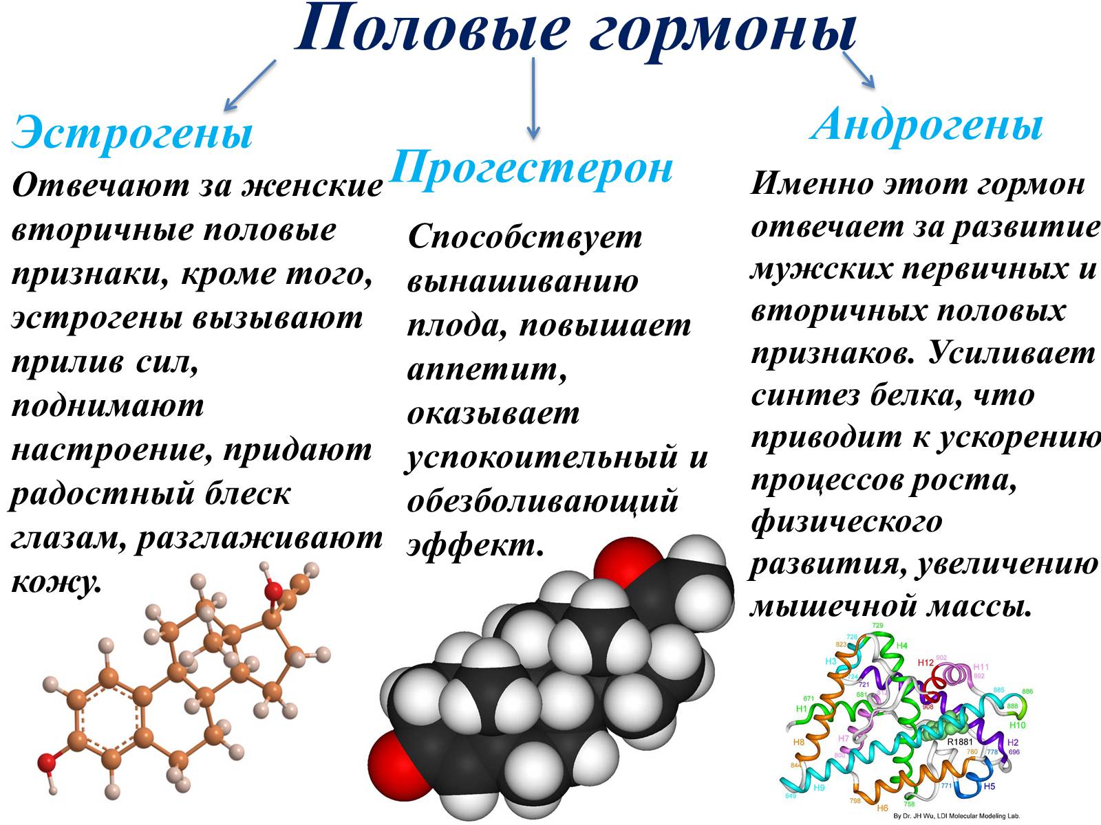 Гормоны это. Гормоны. За что отвечают половые гормоны. Половые гормоны химическое строение. Половые гормоны презентация.