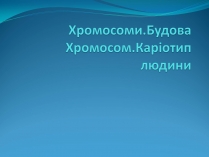 Презентація на тему «Хромосоми.Будова Хромосом.Каріотип»