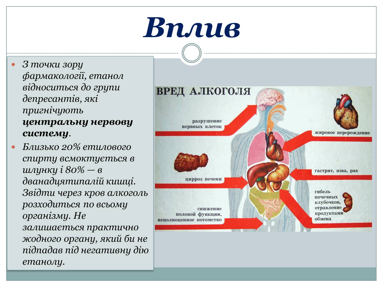 Заболевания вызванные алкоголем. Влияние спиртов на организм человека.