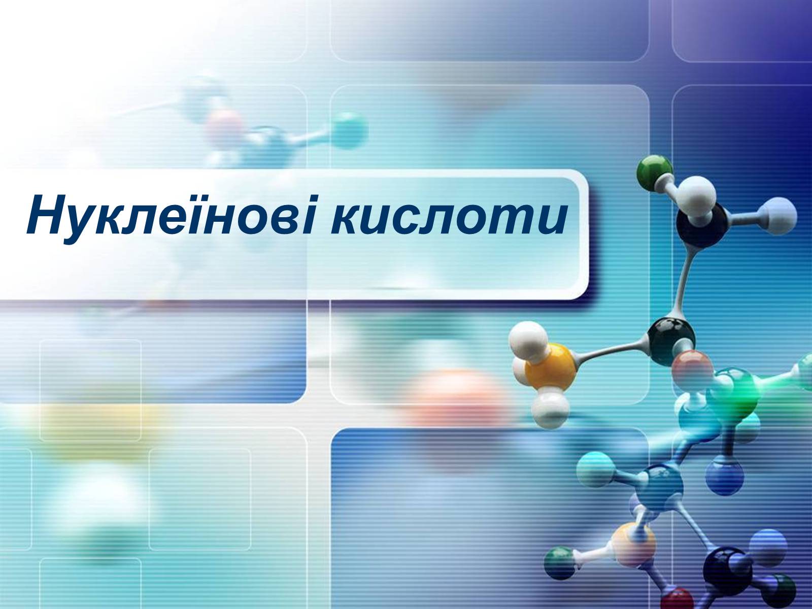 Презентація на тему «Нуклеїнові кислоти» (варіант 4) - Слайд #1