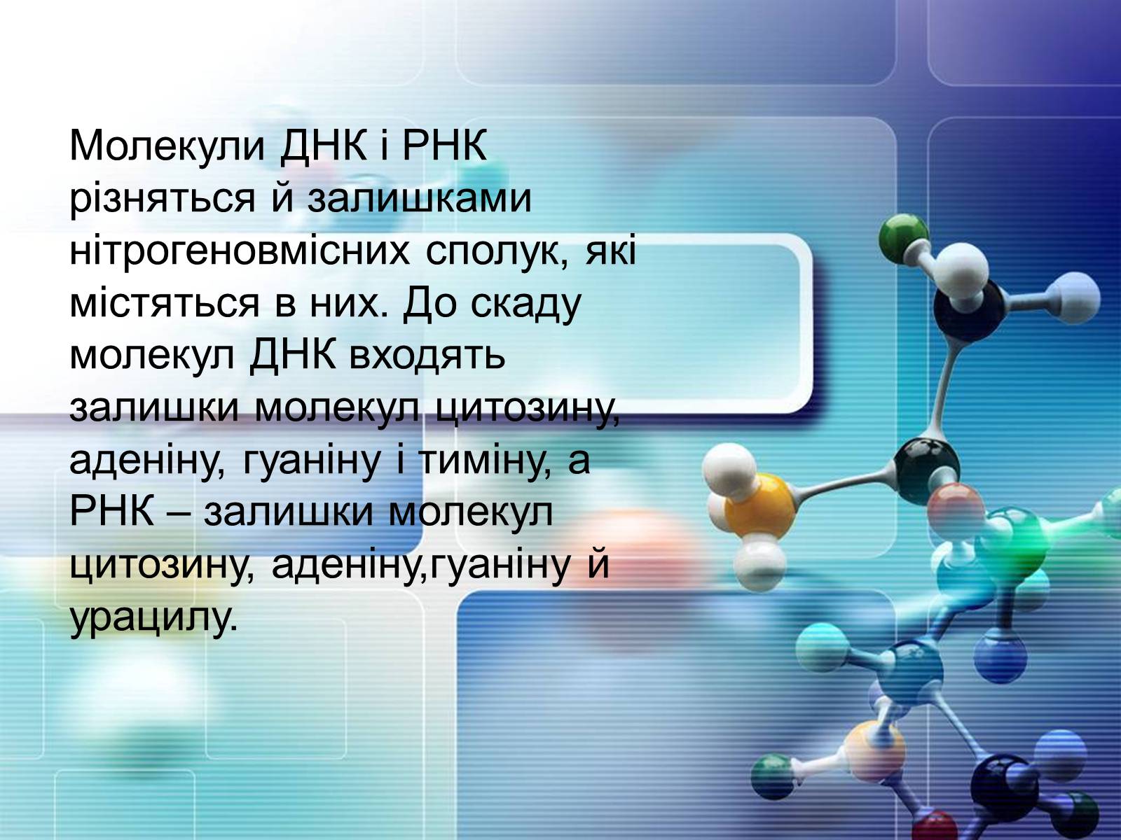 Презентація на тему «Нуклеїнові кислоти» (варіант 4) - Слайд #11