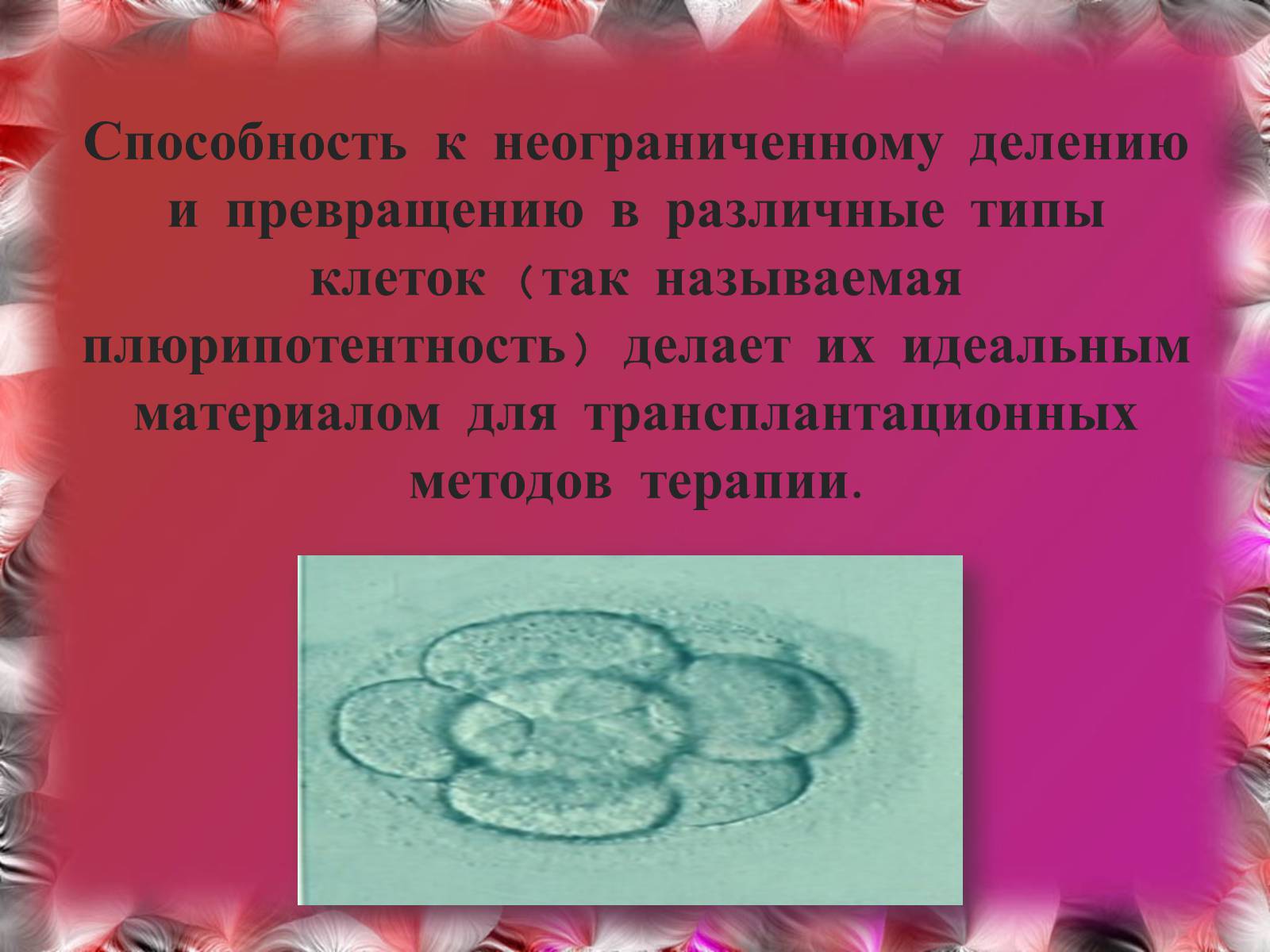 Презентація на тему «Эмбриотехнологии и клонирование» - Слайд #4