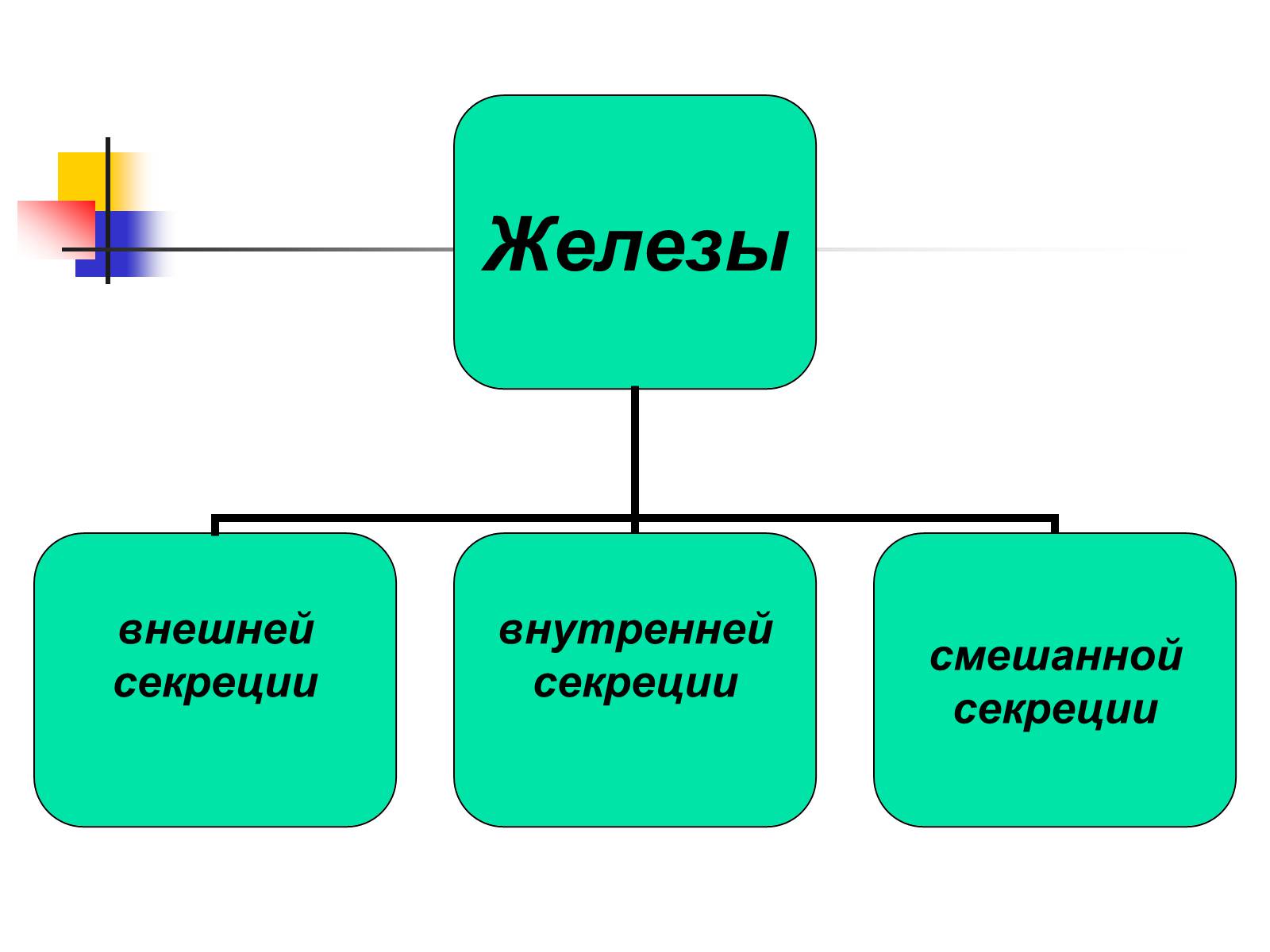 Презентація на тему «Регуляция процессов жизнедеятельности организма» - Слайд #2