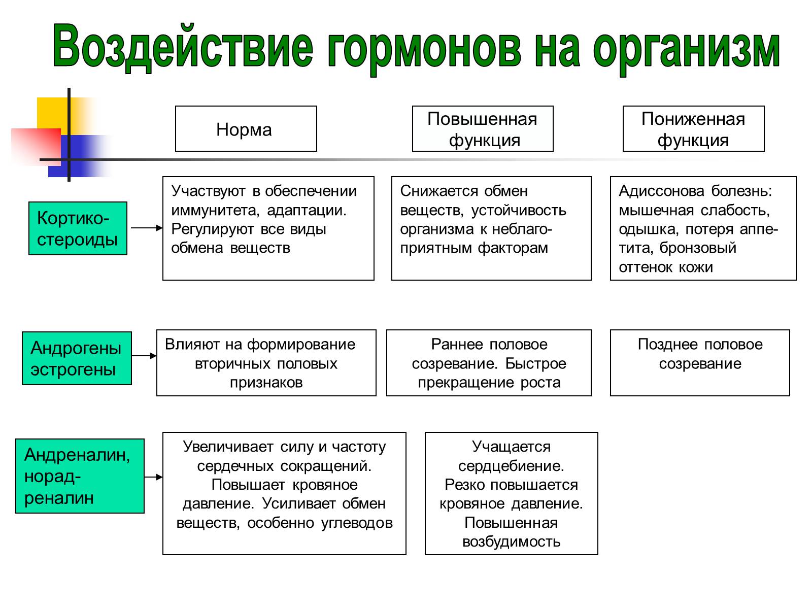 Презентація на тему «Регуляция процессов жизнедеятельности организма» - Слайд #39