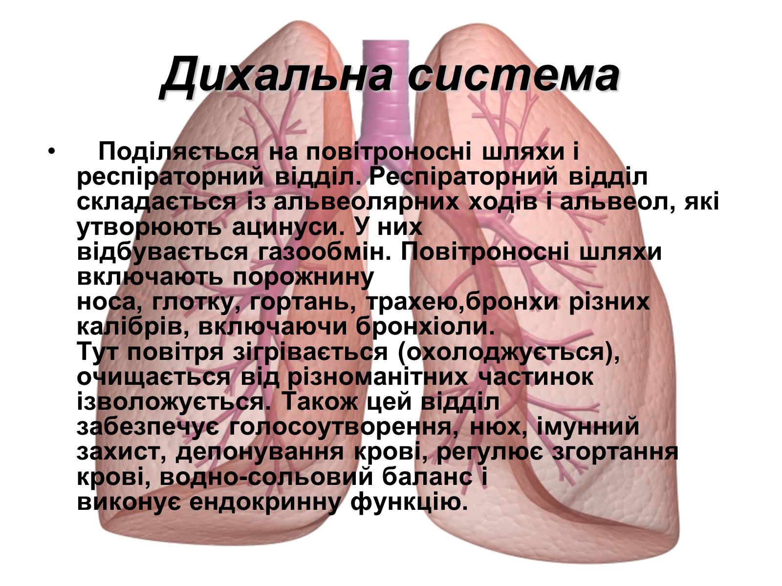 Презентація на тему «Фізіологічні та функціональні системи людини» - Слайд #6