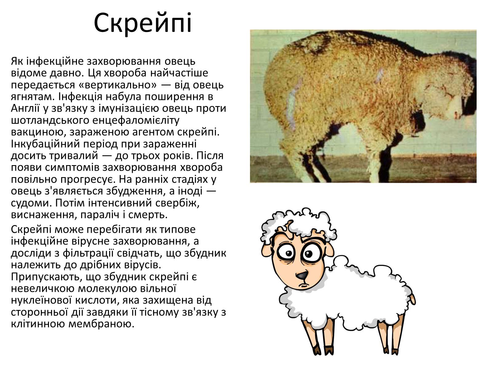 Презентація на тему «Вірусні захворювання» (варіант 1) - Слайд #7