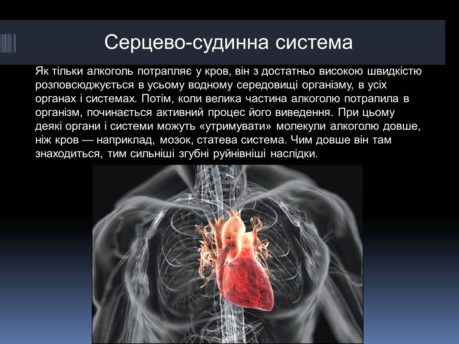 Презентація на тему «Вплив алкоголю на організм людини» (варіант 4) - Слайд #9